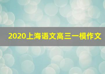 2020上海语文高三一模作文