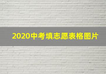 2020中考填志愿表格图片