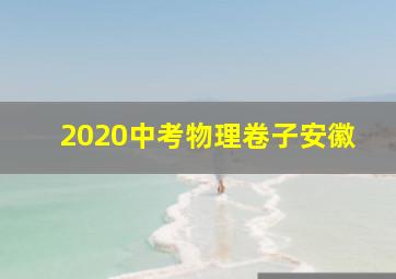 2020中考物理卷子安徽