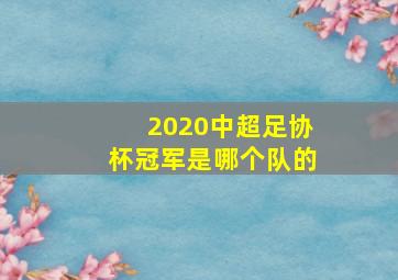 2020中超足协杯冠军是哪个队的