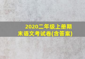 2020二年级上册期末语文考试卷(含答案)