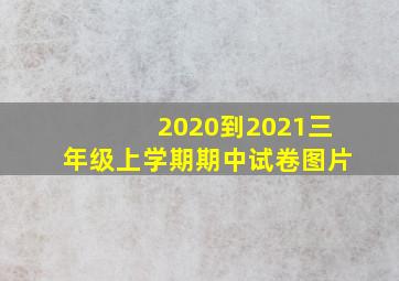 2020到2021三年级上学期期中试卷图片