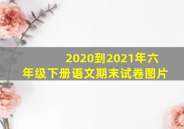 2020到2021年六年级下册语文期末试卷图片