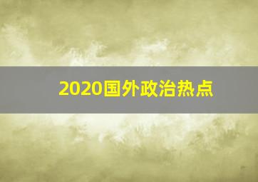 2020国外政治热点