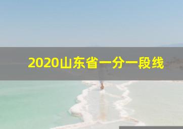 2020山东省一分一段线