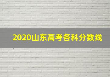 2020山东高考各科分数线