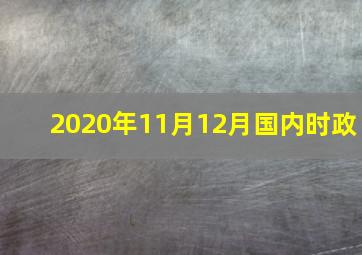 2020年11月12月国内时政