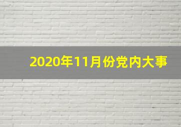 2020年11月份党内大事