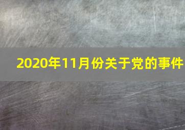 2020年11月份关于党的事件