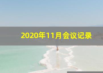 2020年11月会议记录