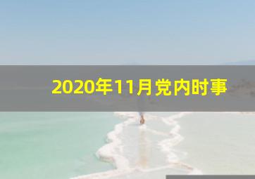 2020年11月党内时事