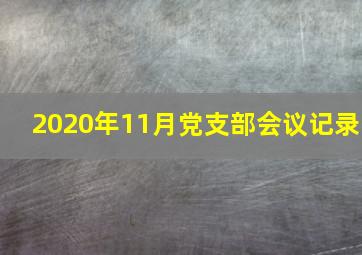 2020年11月党支部会议记录