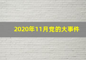 2020年11月党的大事件