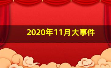 2020年11月大事件