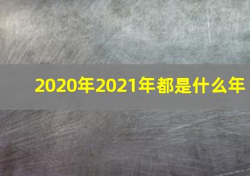 2020年2021年都是什么年