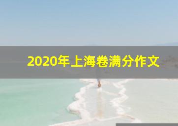 2020年上海卷满分作文