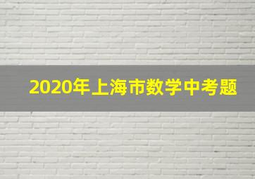 2020年上海市数学中考题