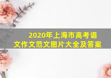 2020年上海市高考语文作文范文图片大全及答案