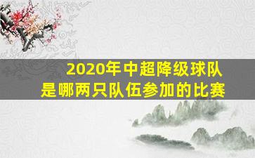 2020年中超降级球队是哪两只队伍参加的比赛