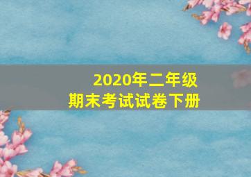 2020年二年级期末考试试卷下册