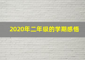 2020年二年级的学期感悟