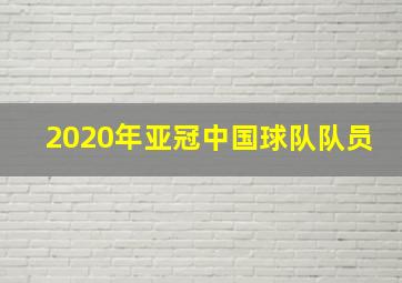 2020年亚冠中国球队队员