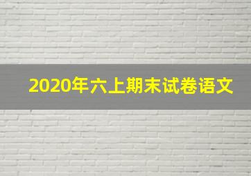 2020年六上期末试卷语文