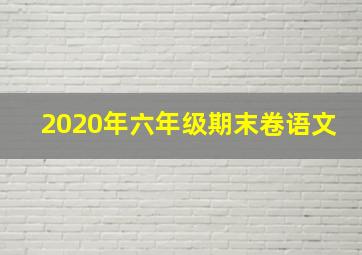 2020年六年级期末卷语文