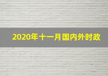 2020年十一月国内外时政