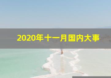 2020年十一月国内大事