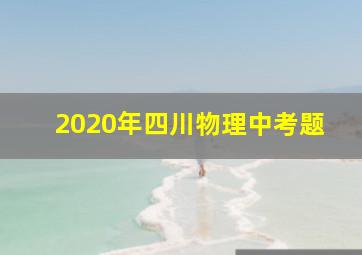 2020年四川物理中考题