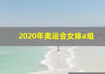 2020年奥运会女排a组