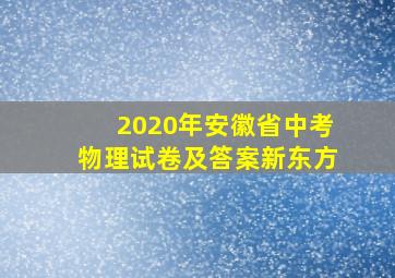 2020年安徽省中考物理试卷及答案新东方