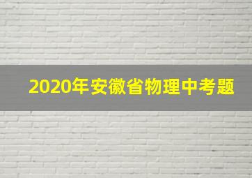 2020年安徽省物理中考题