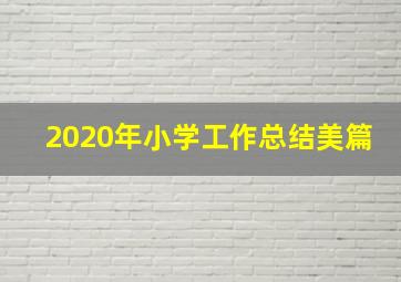 2020年小学工作总结美篇