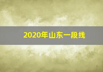 2020年山东一段线