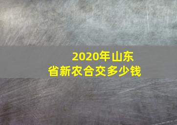 2020年山东省新农合交多少钱