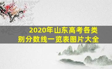 2020年山东高考各类别分数线一览表图片大全