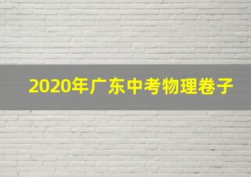 2020年广东中考物理卷子