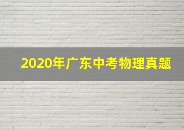 2020年广东中考物理真题