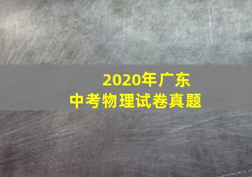 2020年广东中考物理试卷真题