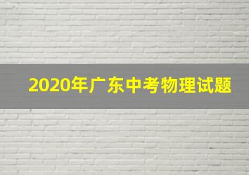 2020年广东中考物理试题