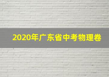 2020年广东省中考物理卷