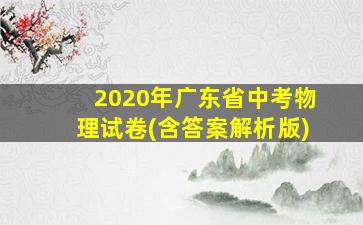 2020年广东省中考物理试卷(含答案解析版)