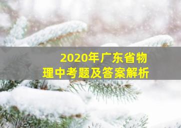 2020年广东省物理中考题及答案解析