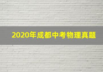 2020年成都中考物理真题