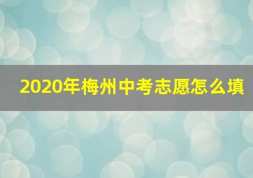 2020年梅州中考志愿怎么填