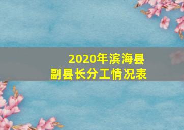 2020年滨海县副县长分工情况表