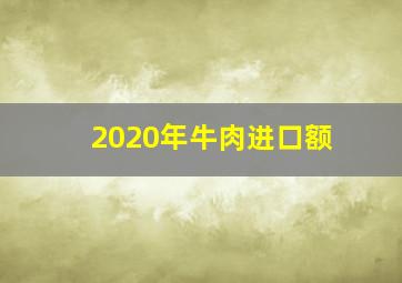 2020年牛肉进口额