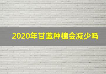 2020年甘蓝种植会减少吗